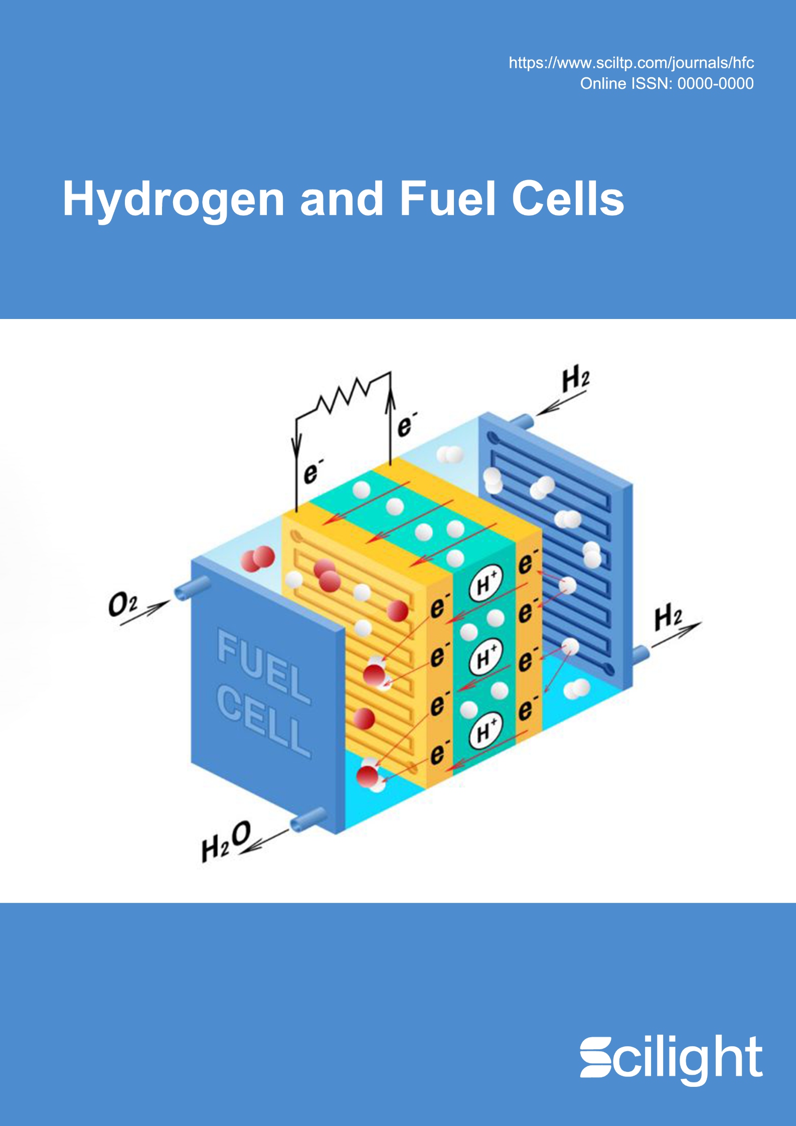 Hydrogen and Fuel Cells