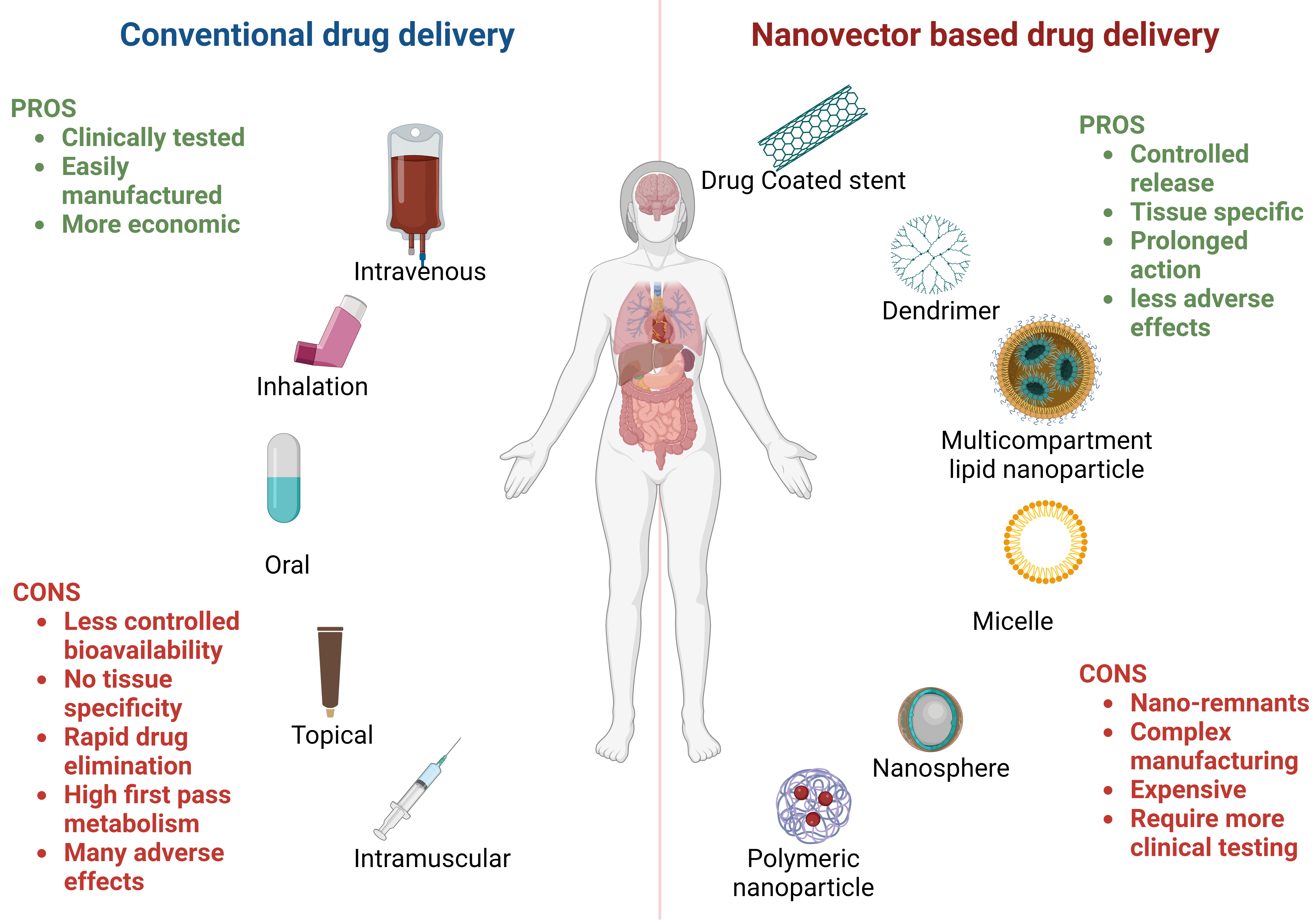 Conventional vs. Nanovector Drug Delivery PORS and CONS